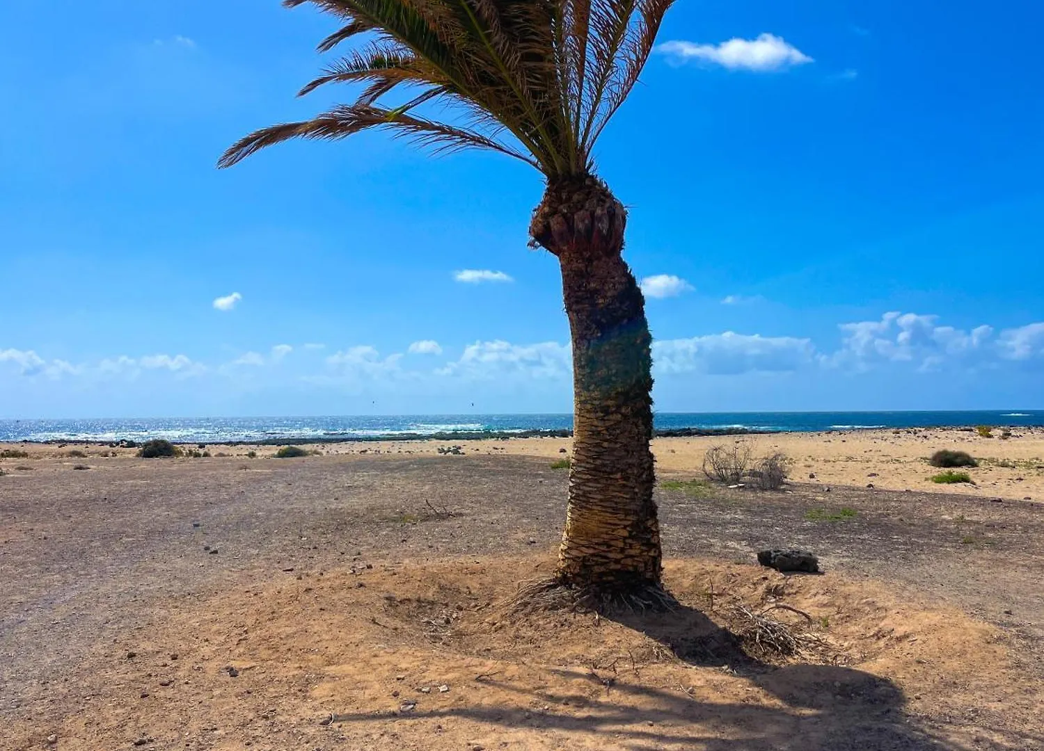 Apartment Beach Terrace By Best Holidays Fuerteventura El Cotillo